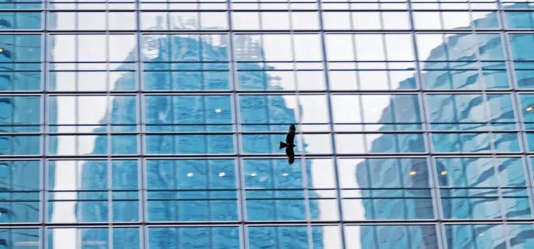 eagle flying in front of skyscraper